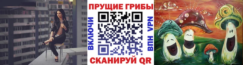 Псилоцибиновые грибы Cubensis купить Вольск