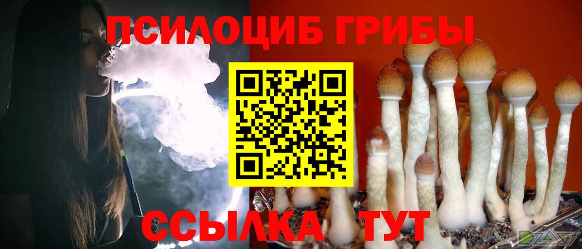 Псилоцибиновые грибы Psilocybine cubensis  Вход с VPN  Вольск 